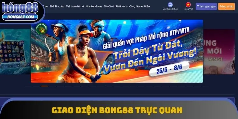 Hệ thống thiết kế ra một giao diện chất lượng cao